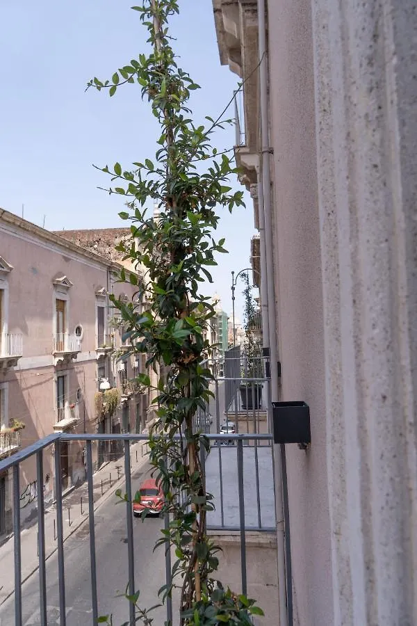Zagara E Lumia Bed & Breakfast Catania